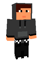 Скин по нику Ninja4liferyan