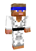 Скин по нику NinjaPenguin4