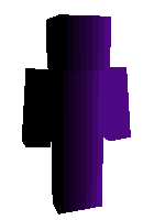 Скин по нику Ninjas_robots