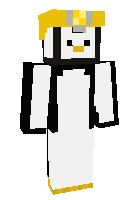 Скин по нику NintendoGuy100