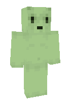 Скин по нику NoT_Flurry