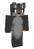Скин по нику Noki_Awoo
