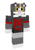Скин по нику NorseBoi