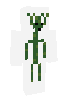 Скин по нику NuclearNoodle