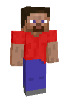 Скин по нику PIOPYDUDE