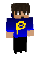Скин по нику POVOX