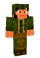 Скин по нику Paladyn