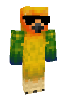 Скин по нику ParrotX