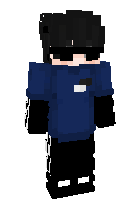 Скин по нику Paulgammer365