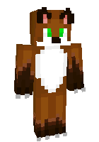 Скин по нику Pawsthefolf