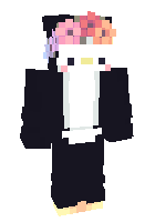 Скин по нику Penguins