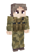 Скин по нику Perfis_