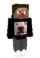 Скин по нику PitLegit