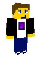 Скин по нику Pixel71Champion
