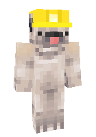 Скин по нику Pixil_Prod