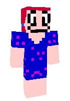 Скин по нику Pixo
