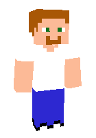 Скин по нику PlayerNikita