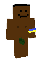 Скин по нику Pockyboi
