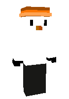 Скин по нику PonziYT