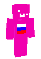 Скин по нику Pranik454