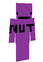 Скин по нику ProGamer99