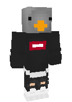 Скин по нику ProGamer_1