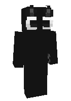 Скин по нику ProvoLibrary11