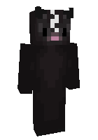 Скин по нику Pyxy