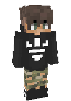 Скин по нику Qwentyflex