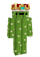 Скин по нику QwertyCactus