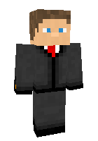 Скин по нику ROBSTERR
