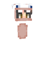 Скин по нику RabbidsInvasion