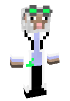 Скин по нику Raggy