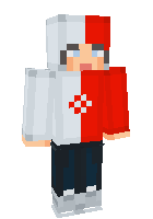 Скин по нику Raidark
