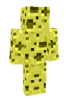 Скин по нику RainWarrior