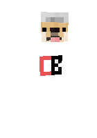 Скин по нику RainedNeLox