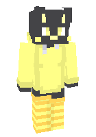 Скин по нику RandomIdiot1
