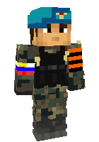 Скин по нику Rarity22
