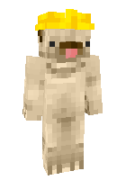 Скин по нику Renbbo