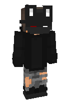 Скин по нику RiddlePro
