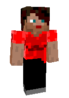 Скин по нику Rinachan
