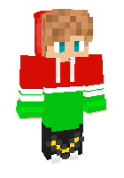 Скин по нику Rise_LeviJamesgg