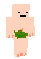 Скин по нику Rokijs
