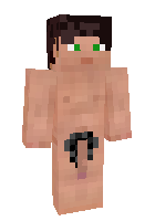 Скин по нику Rokol