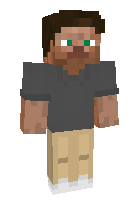 Скин по нику Ronn