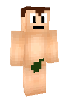 Скин по нику RudiGaming