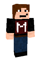 Скин по нику SGCBarbierian
