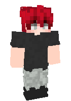 Скин по нику Sans_LastBreach