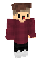 Скин по нику Secret_lappen