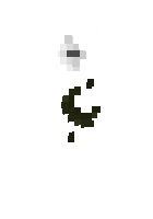 Скин по нику ShadowOfUniverse